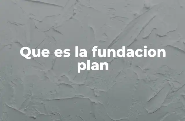 Que es la Fundacion Plan