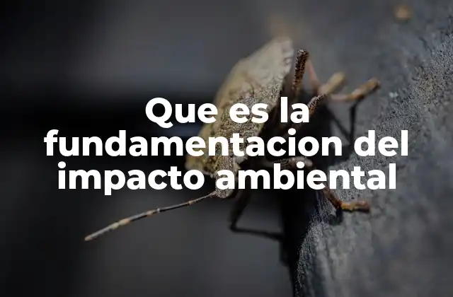 Que es la Fundamentacion Del Impacto Ambiental