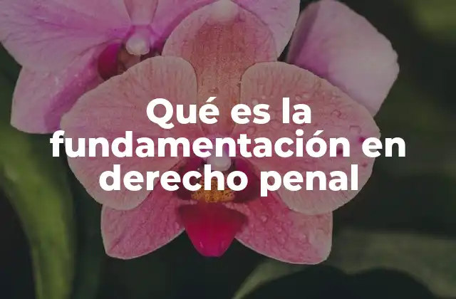 Qué es la Fundamentación en Derecho Penal