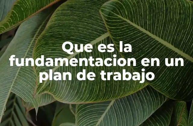 Que es la Fundamentacion en un Plan de Trabajo