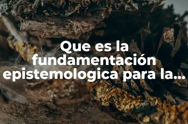 Que es la Fundamentación Epistemologica para la Investigación
