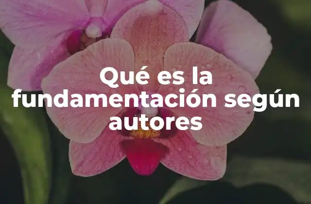 Qué es la Fundamentación según Autores