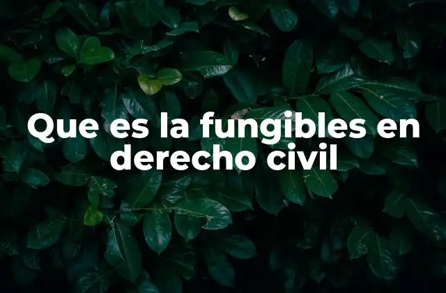 Que es la Fungibles en Derecho Civil