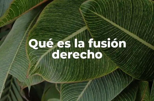 Qué es la Fusión Derecho 2 La importancia de la fusión en el entorno empresarial