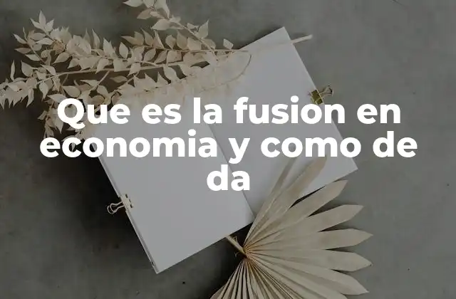 Que es la Fusion en Economia y como de Da