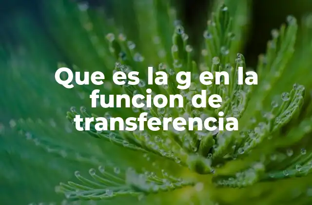 Que es la G en la Funcion de Transferencia