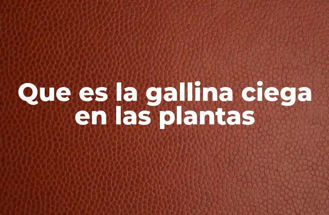 Que es la Gallina Ciega en las Plantas