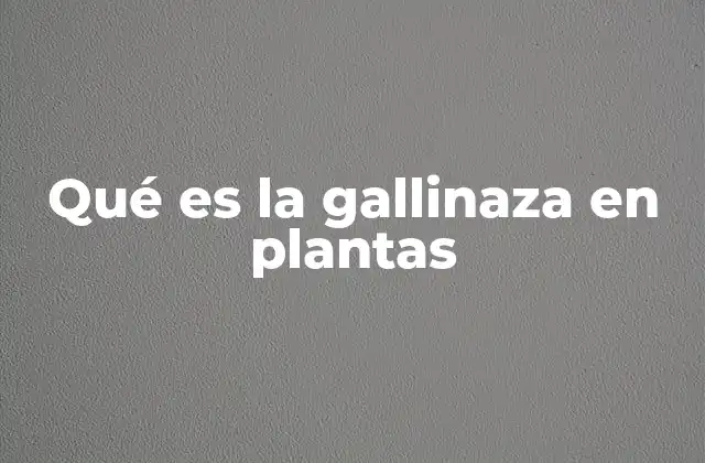 Qué es la Gallinaza en Plantas