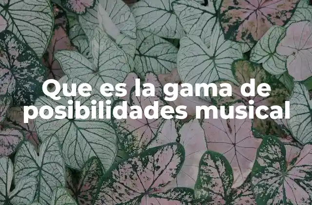 El abanico sonoro disponible en cada estilo musical