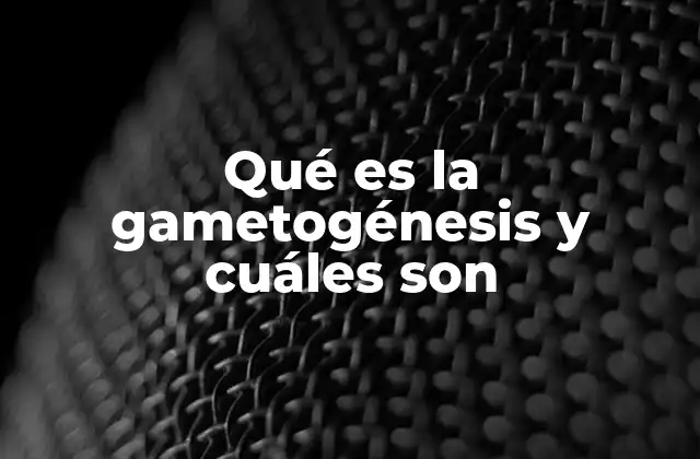 Qué es la Gametogénesis y Cuáles Son