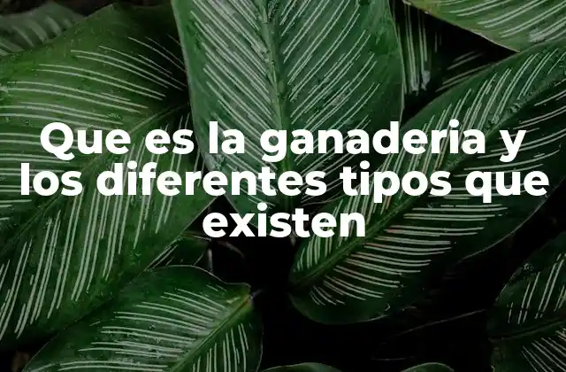 Que es la Ganaderia y los Diferentes Tipos que Existen