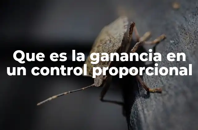 Que es la Ganancia en un Control Proporcional