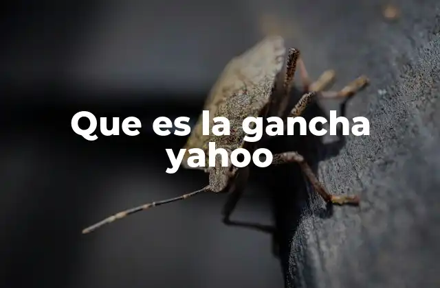 Que es la Gancha Yahoo