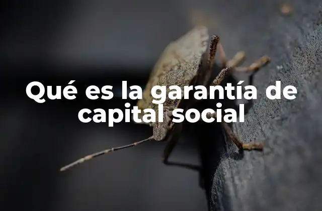 Qué es la Garantía de Capital Social