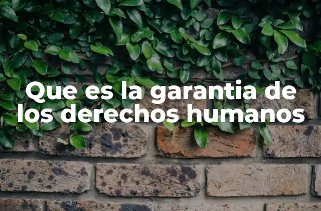 Que es la Garantia de los Derechos Humanos