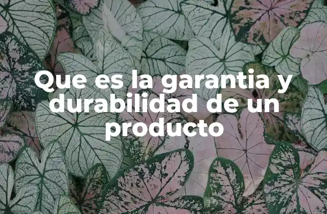 Que es la Garantia y Durabilidad de un Producto