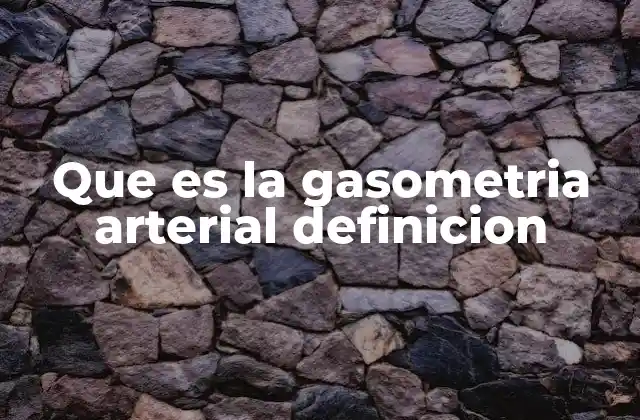 Que es la Gasometria Arterial Definicion