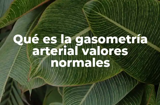 Qué es la Gasometría Arterial Valores Normales 2 La importancia de los valores normales en el diagnóstico clínico