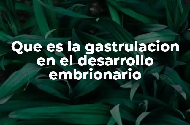 Que es la Gastrulacion en el Desarrollo Embrionario