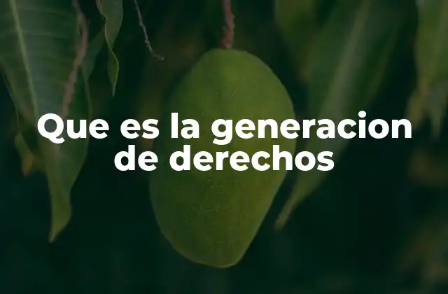 Que es la Generacion de Derechos