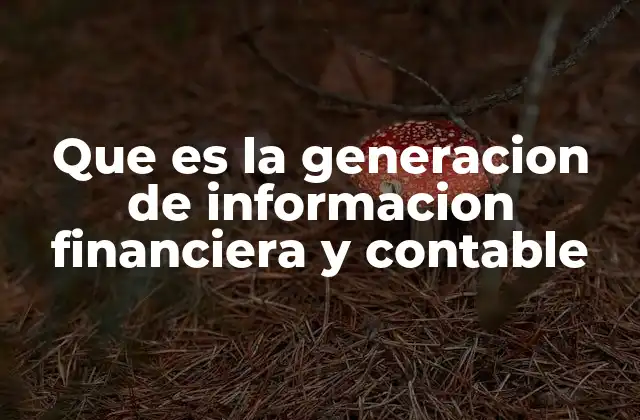 Que es la Generacion de Informacion Financiera y Contable