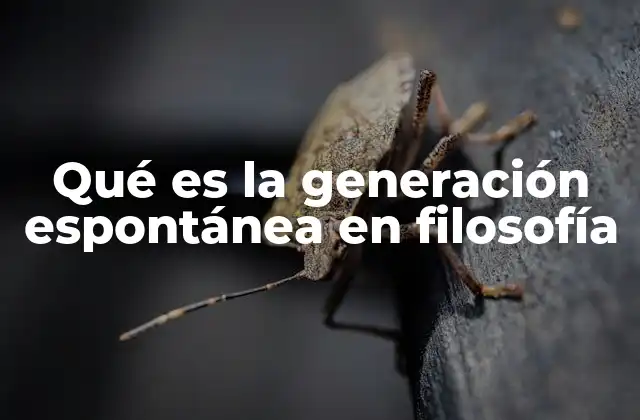 Qué es la Generación Espontánea en Filosofía
