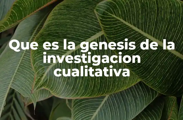 Que es la Genesis de la Investigacion Cualitativa 2 Orígenes teóricos y filosóficos de la investigación cualitativa