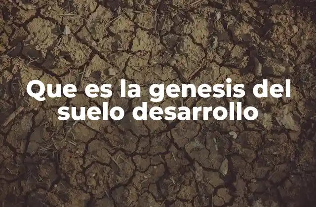 Que es la Genesis Del Suelo Desarrollo