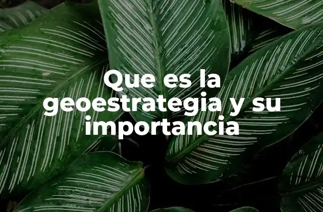 Que es la Geoestrategia y Su Importancia