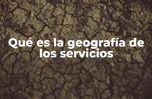 Qué es la Geografía de los Servicios