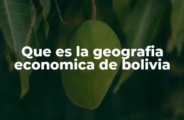 Que es la Geografia Economica de Bolivia