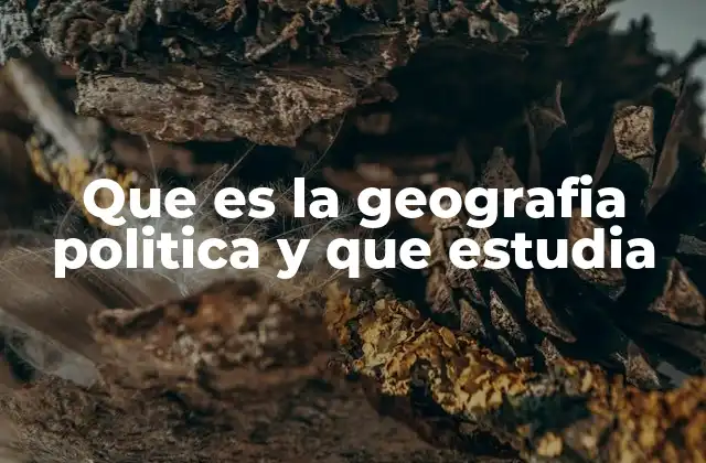 Que es la Geografia Politica y que Estudia