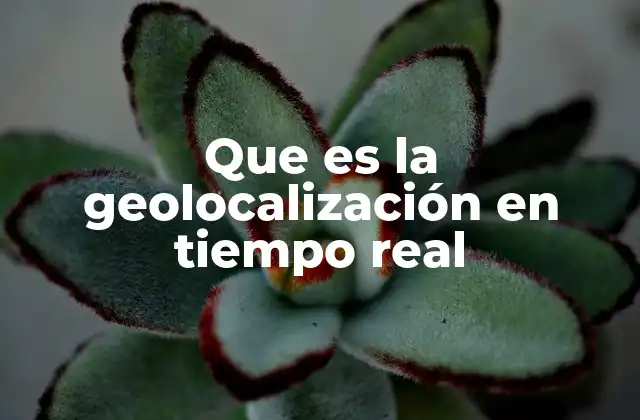 Que es la Geolocalización en Tiempo Real