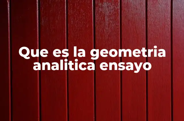 Que es la Geometria Analitica Ensayo