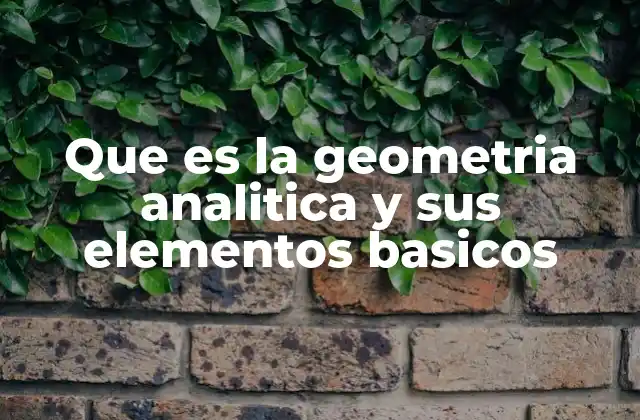 La unión entre álgebra y geometría