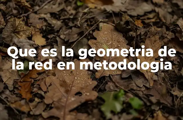 Que es la Geometria de la Red en Metodologia