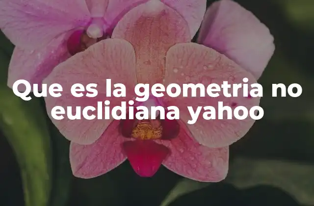 Que es la Geometria No Euclidiana Yahoo