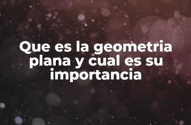 Que es la Geometria Plana y Cual es Su Importancia