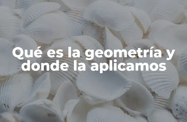 Qué es la Geometría y Donde la Aplicamos