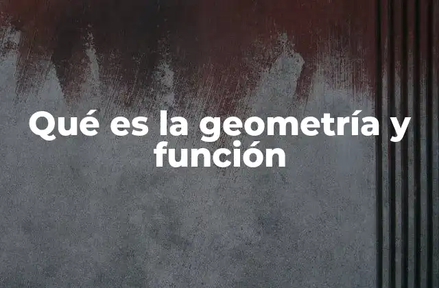 Qué es la Geometría y Función