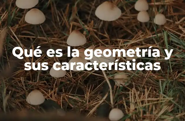 Qué es la Geometría y Sus Características 2 El origen y evolución de los conceptos geométricos