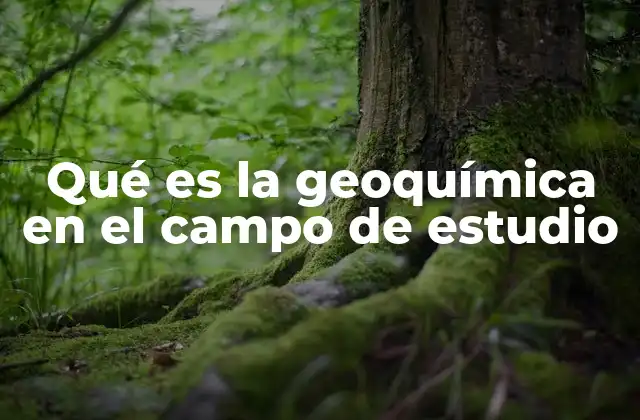 Qué es la Geoquímica en el Campo de Estudio