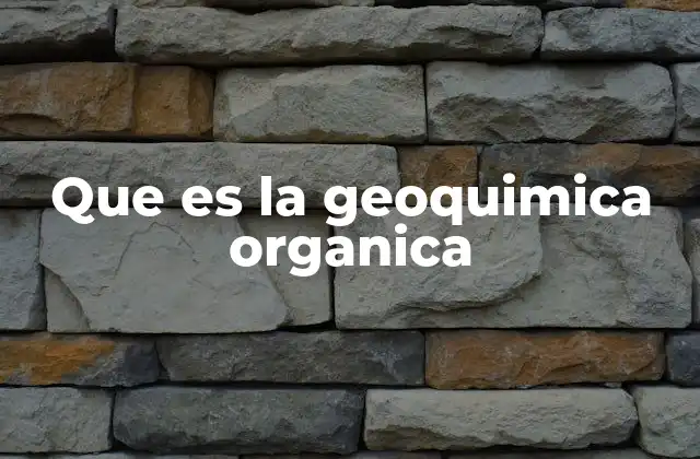 Que es la Geoquimica Organica