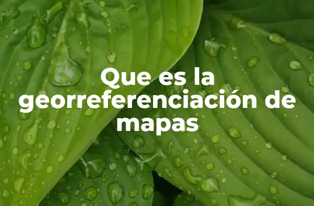 Que es la Georreferenciación de Mapas