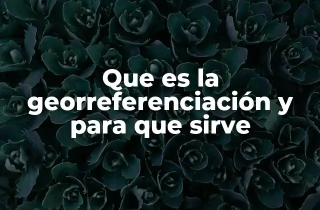 Que es la Georreferenciación y para que Sirve