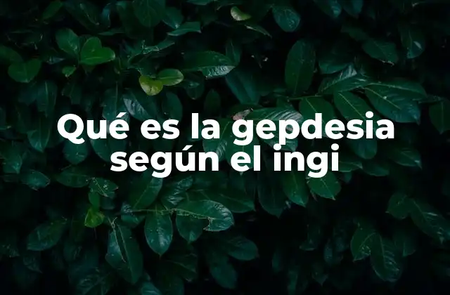 Qué es la Gepdesia según el Ingi