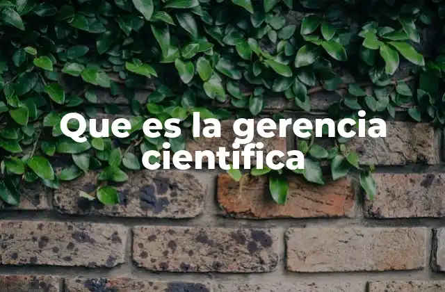 Que es la Gerencia Cientifica