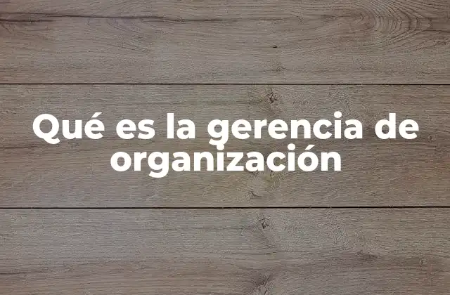 Qué es la Gerencia de Organización