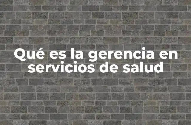 Qué es la Gerencia en Servicios de Salud