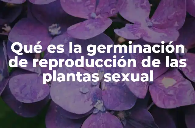 Qué es la Germinación de Reproducción de las Plantas Sexual